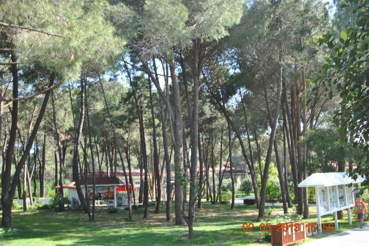 imagini hotel ALIBEY RESORT SIDE